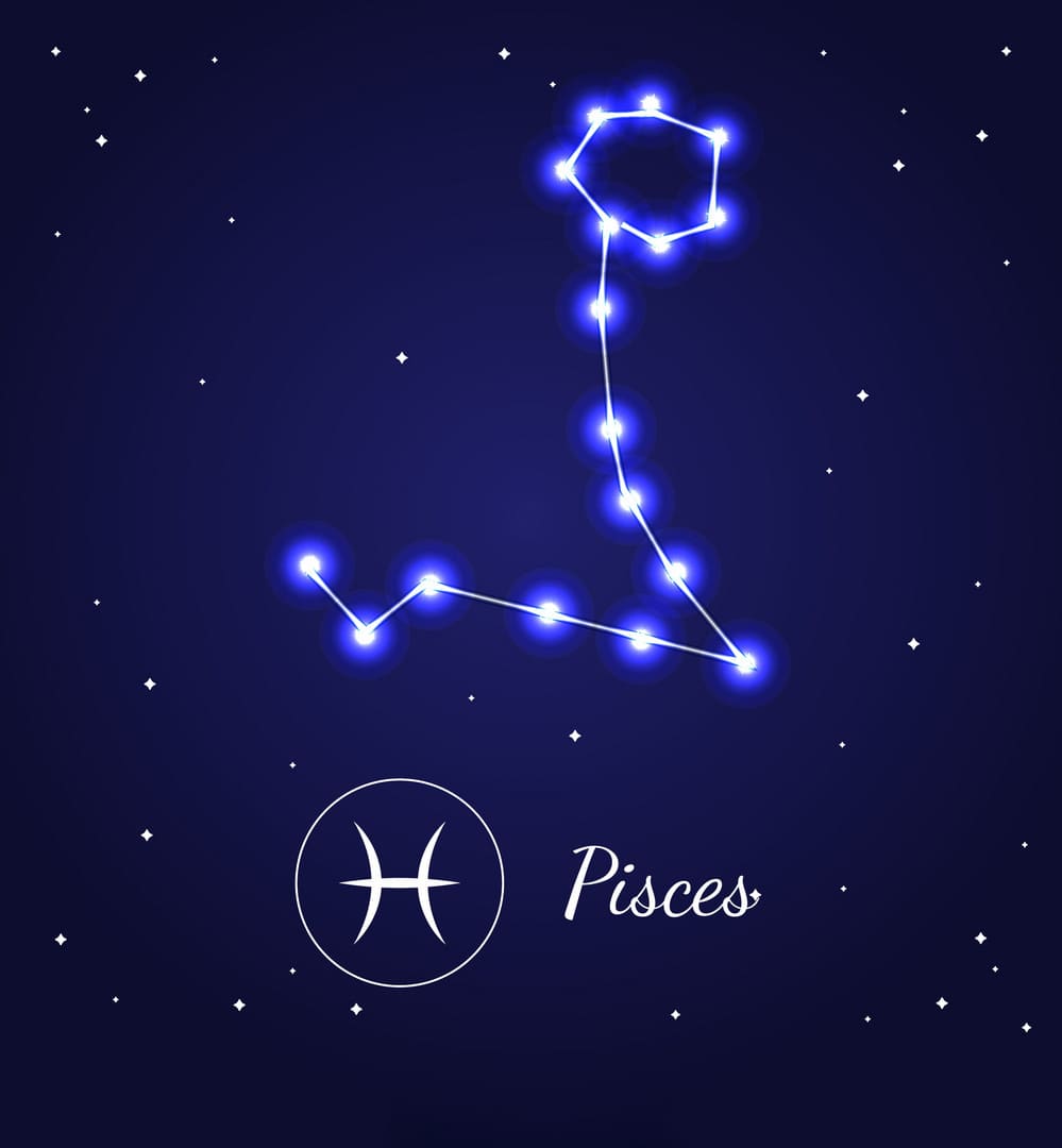 Pisces Pisces