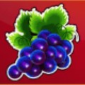 symbol Winogrono symbol Winogrono